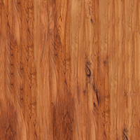 Дерево Орех