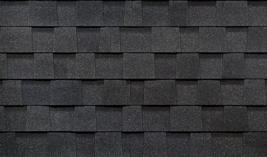 Ламинированная черепица Docke, DRAGON PREMIUM, Ежевика купить в Владивостоке