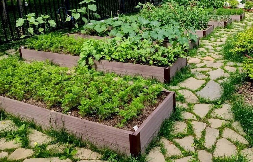 Доска для грядок NauticPrime из ДПК, серого цвета, размеры 225х30х2950 мм купить в Владивостоке